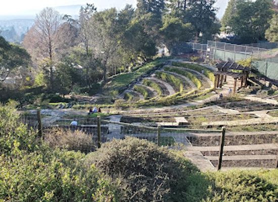 california/berkeley/attraction/codornices-park