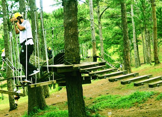 vietnam/da-lat/attraction/khu-trung-bay-tuong-sap