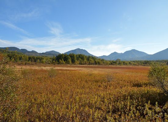 japan/kanto/attraction/senjogahara-marshland