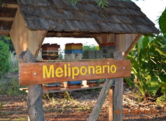 uruguay/northern-region/attraction/meliponario-alto-uruguay