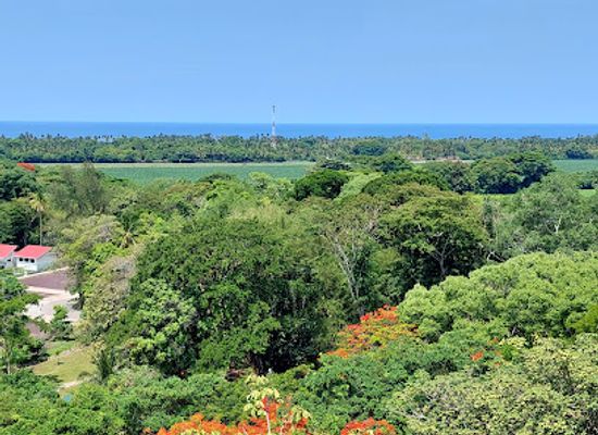 el-salvador/central-region/attraction/walter-thilo-deininger-national-park
