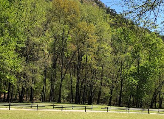 arkansas/pinnacle-mountain-state-park/attraction/kingfisher-trail