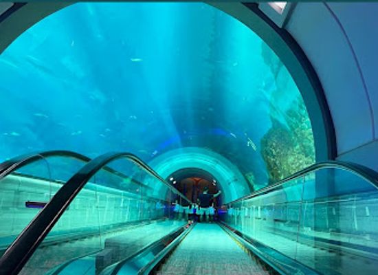 united-arab-emirates/abu-dhabi-region/attraction/seaworld-abu-dhabi