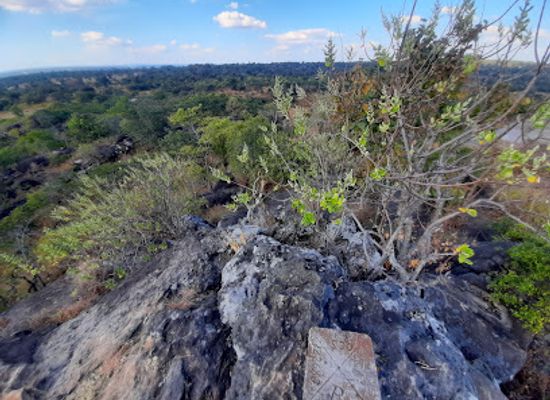 zambia/chimfunshi-wildlife-orphanage/attraction/kimale-viewpoint-hill