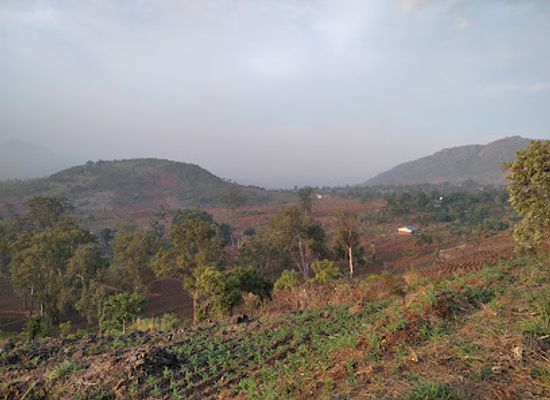 malawi/phalombe-plains/attraction/zomba-massif