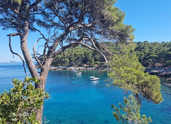croatia/dubrovnik/attraction/buza-na-lokrumu