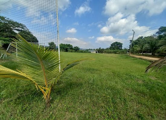 ghana/aburi/attraction/mr-whyte