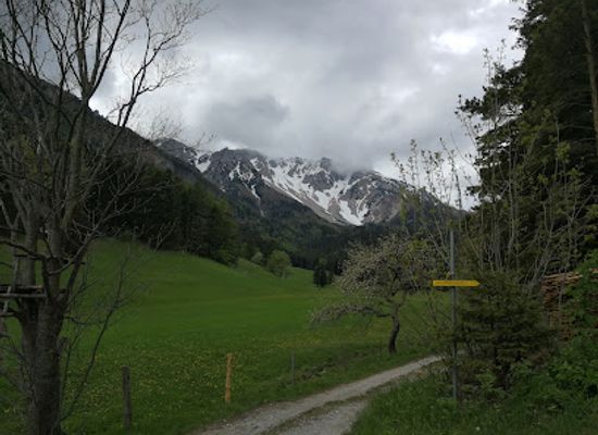 austria/mount-schneeberg/attraction/schneebergdorfel-anstieg-zu-waxriegel