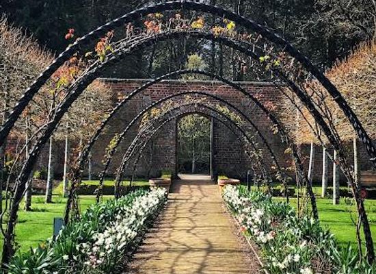 united-kingdom/down/attraction/bangor-castle-walled-garden