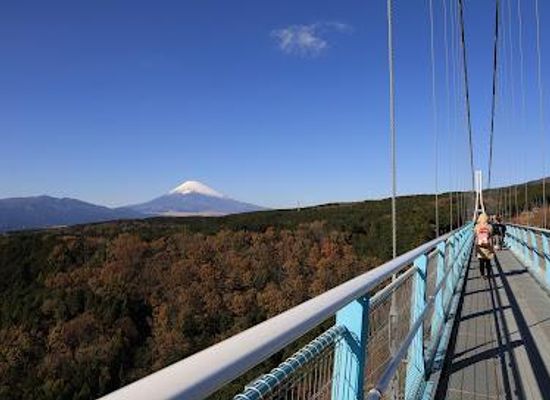 japan/hakone/attraction/mishima-sky-walk