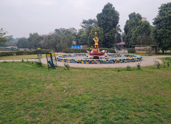 india/punjab/attraction/nehru-rose-garden