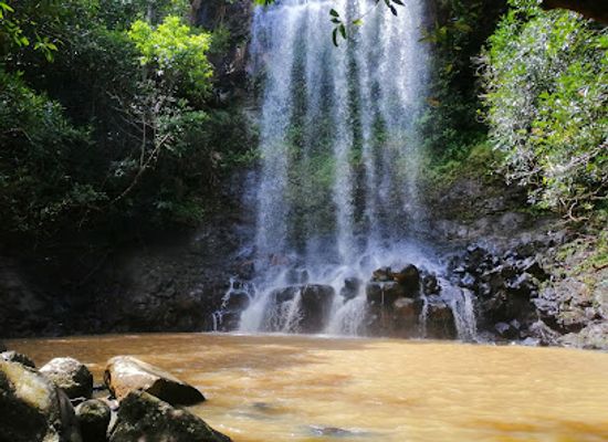 mauritius/black-river-gorges-national-park/attraction/bel-ombre-hiking-trail