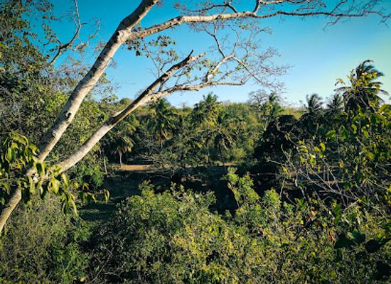 tanzania/tanga/attraction/pandora-glamping-taverns