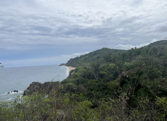 mexico/sayulita/attraction/ecohike-sayulita-hiking-tours