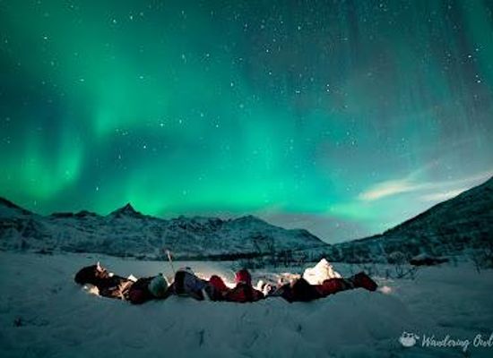 norway/tromso/attraction/wandering-owl