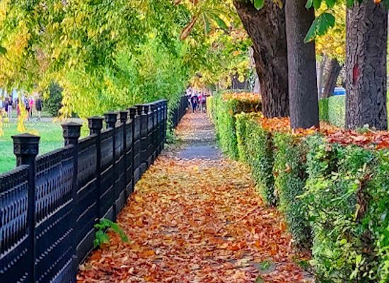 hungary/vac/attraction/dunapart-ady-endre-setany