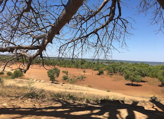 madagascar/majunga/attraction/parcnb-sib-mahajanga
