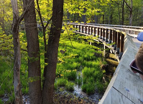 ohio/maumee-bay-state-park/attraction/wildwood-preserve-metropark