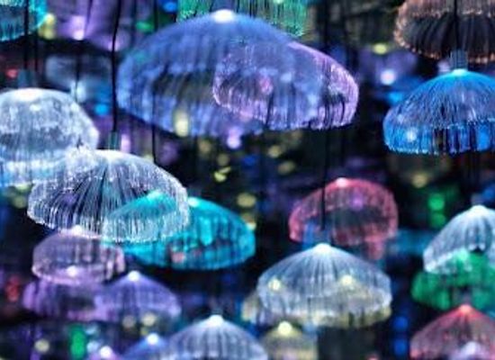 australia/melbourne/attraction/metartworld-world-s-largest-indoor-scrap-metal-art-gallery-guinness-world-record-holder-starry-sky-exhibition-vr-theme-park