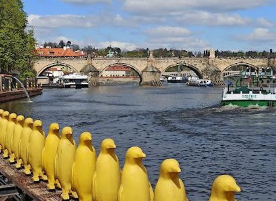 czechia/prague/attraction/yellow-penguins