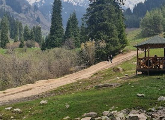 kazakhstan/ile-alatau-national-park/attraction/kacheli-v-butakovke