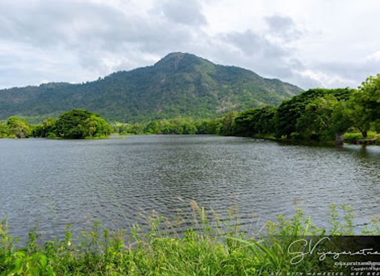 sri-lanka/matale-district/attraction/menikdena-archeological-reserve-and-arboretum