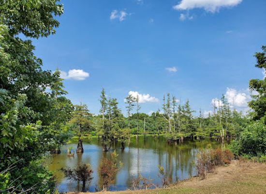 tennessee/duck-river-valley/attraction/duck-river-unit-tennessee-national-wildlife-refuge