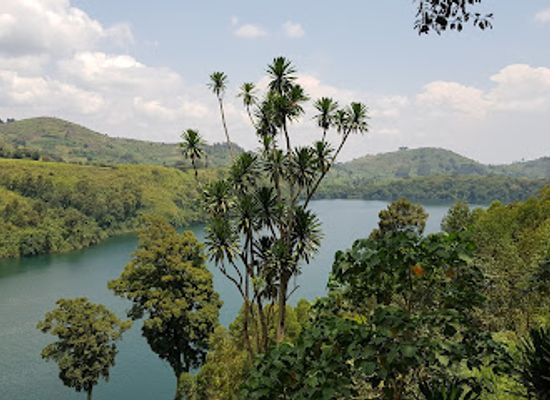 uganda/kibale-national-park/attraction/crater-lake-view-point