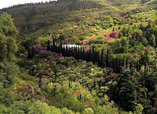 georgia/blood-mountain/attraction/national-botanical-garden
