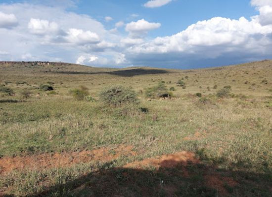 kenya/laikipia-plateau/attraction/loisaba-conservancy-headquarters-workshop