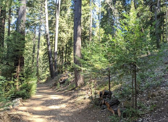 california/silicon-valley/attraction/soquel-demonstration-state-forest