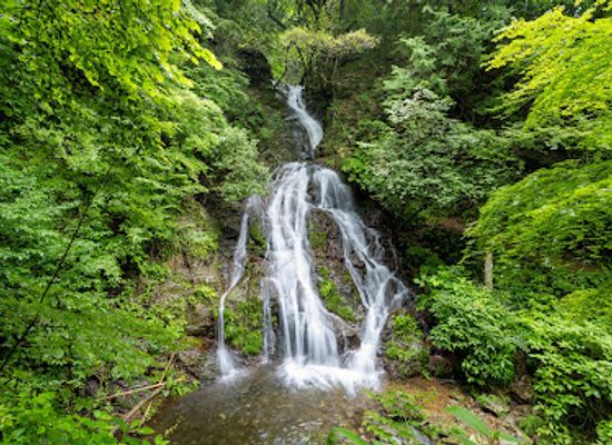 japan/bungo/attraction/shiraiwa-falls