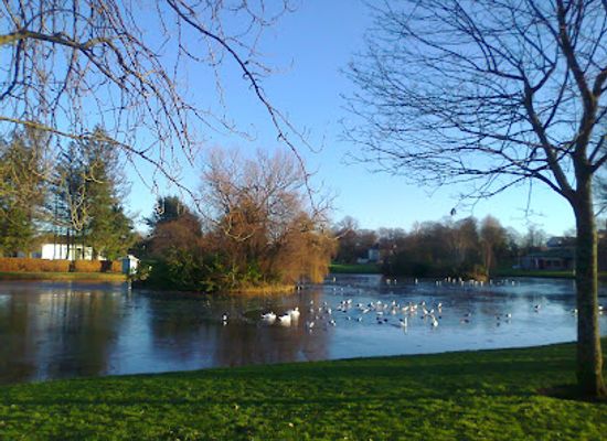 united-kingdom/morayshire/attraction/cooper-park