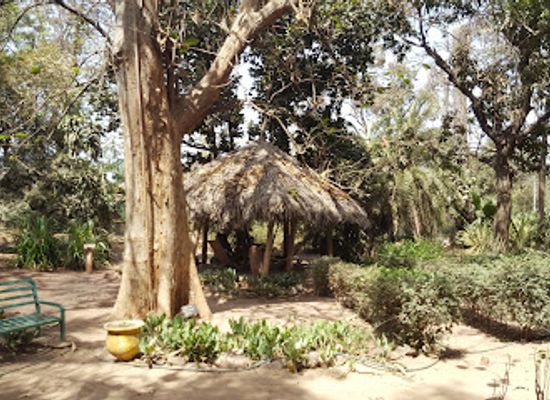 the-gambia/serekunda/attraction/national-botanical-gardens