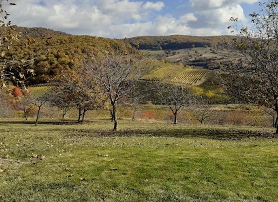 romania/banat/attraction/liliac-winery