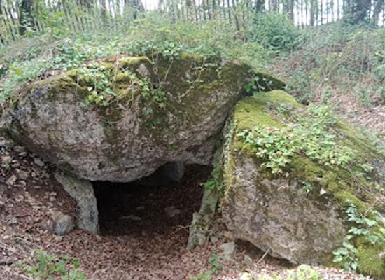 france/poitou-charentes/attraction/motte-de-la-garde
