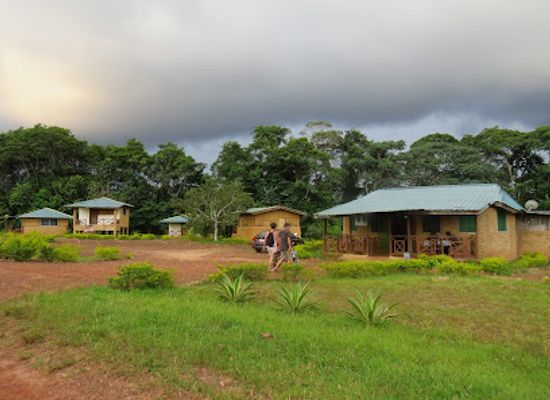 ghana/cape-three-points/attraction/ankasa-game-reserve-nini-suhien-national-park