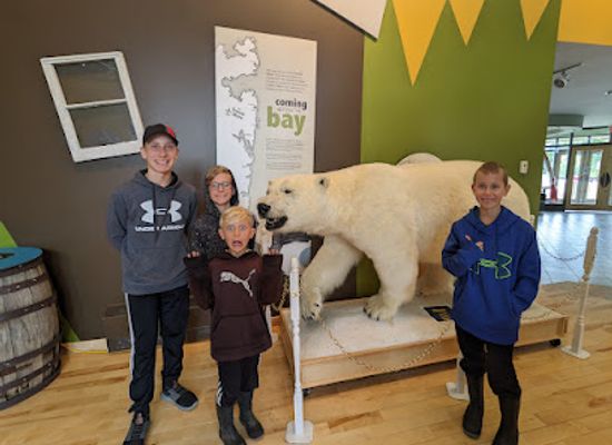 canada/newfoundland-and-labrador/attraction/the-green-moose-interpretation-centre