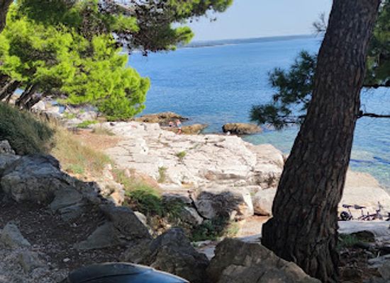 croatia/rovinj/attraction/pulci-favourite-beach