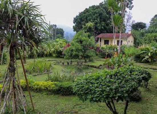 sao-tome-and-principe/neves/attraction/jardim-botanico-do-bom-sucesso