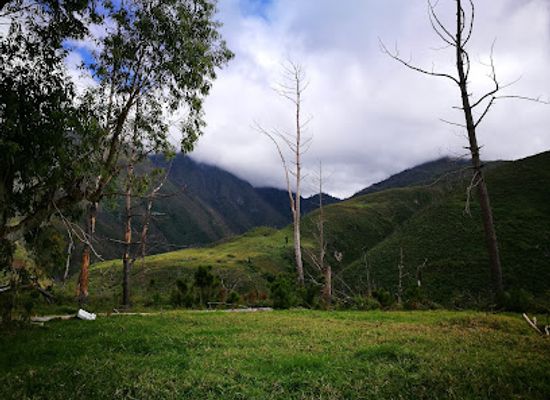 haiti/jeremie/attraction/pic-macaya-national-park