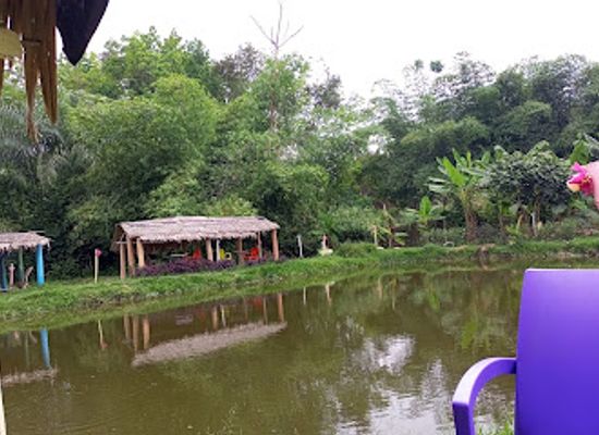 cote-d-ivoire/lagunes/attraction/ferme-bio