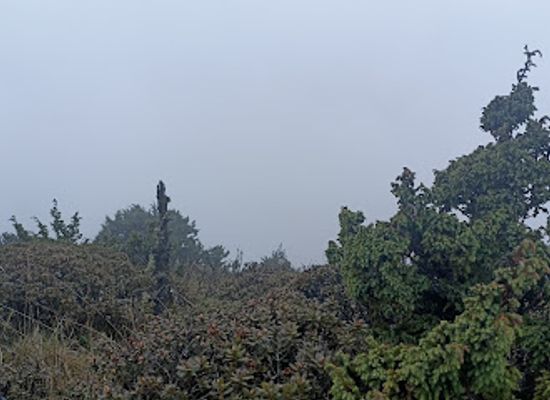 bhutan/phobjikha-valley/attraction/lamsela