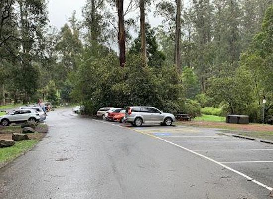 australia/yarra-valley/attraction/grants-picnic-ground-dandenong-ranges-national-park
