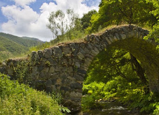 armenia/shikahogh-state-reserve/attraction/shikahogh-mountain-forest-armenia