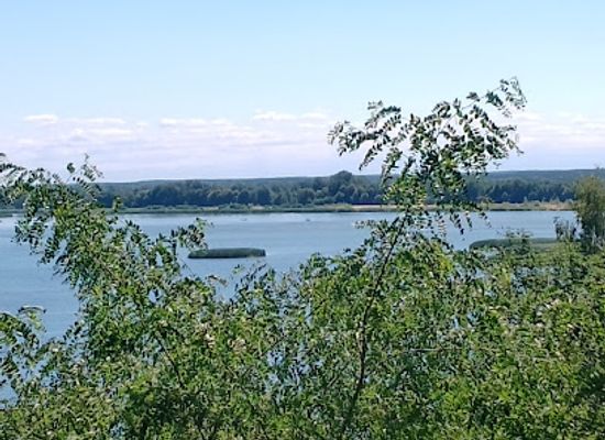 poland/zegrze-reservoir/attraction/barbarka-settlement-ogrodzisko