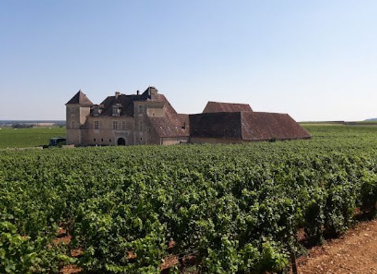 france/burgundy-vineyards/attraction/domaine-armelle-et-bernard-rion