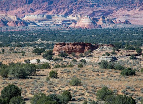 arizona/kaibab-national-forest/attraction/white-pocket