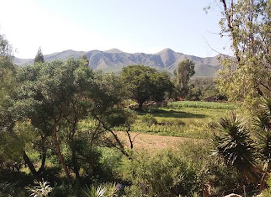 bolivia/tarija-valley/attraction/flores-park