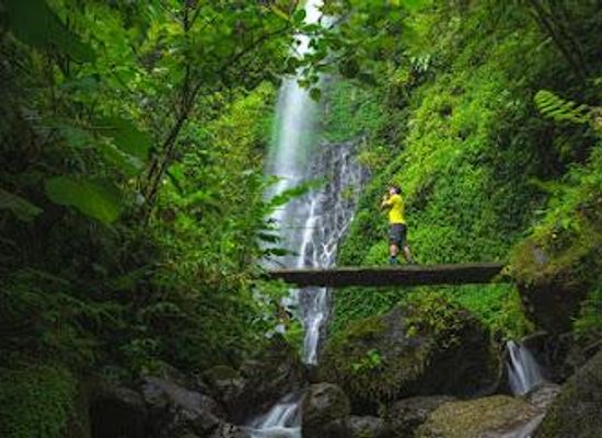 costa-rica/monteverde-cloud-forest/attraction/el-tigre-waterfalls-monteverde